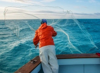 8Ft Fishing Cast Net with 3/4 inch Mesh Netting – Deep Drop Shop